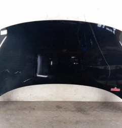 Capot RENAULT SCENIC 3 Photo n°1