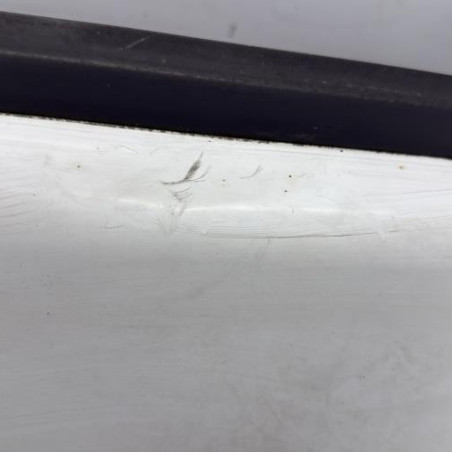 Porte avant gauche RENAULT KANGOO 1