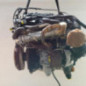 Moteur AUDI A5 1
