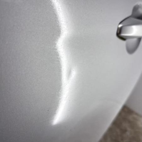 Porte arriere gauche CITROEN C4 2