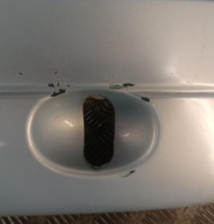 Pare choc arriere RENAULT TWINGO 1 Photo n°3