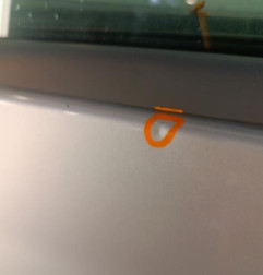 Porte avant gauche RENAULT CLIO 3