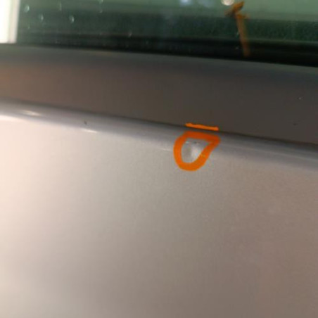 Porte avant gauche RENAULT CLIO 3