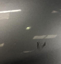 Porte arriere gauche MERCEDES CLASSE C 204 Photo n°4