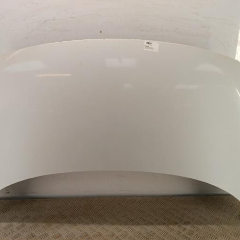 Capot RENAULT GRAND SCENIC 3 Capot RENAULT GRAND SCENIC 3