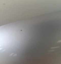 Porte avant gauche RENAULT MODUS Photo n°8