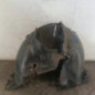 Pare boue avant gauche RENAULT MODUS