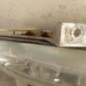 Anti brouillard droit (feux) PEUGEOT 406