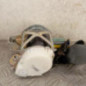 Ceinture avant droit PEUGEOT 5008 1