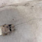 Serrure arriere gauche PEUGEOT 106
