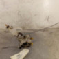 Serrure avant gauche NISSAN MICRA 2
