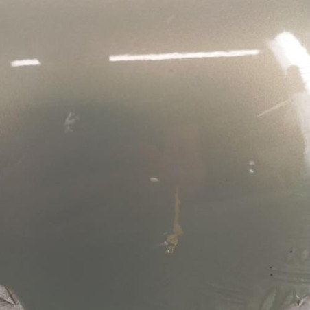 Trappe d'essence RENAULT CLIO 2