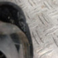 Retroviseur droit RENAULT SCENIC 3