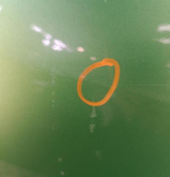 Porte avant droit MAZDA 2 2 Photo n°5