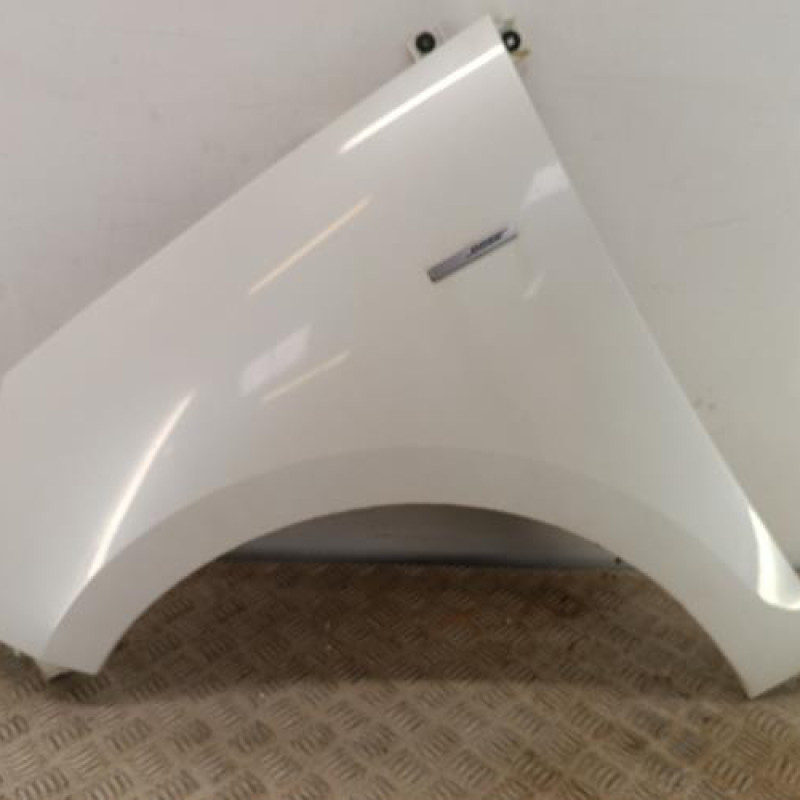 Aile avant gauche RENAULT GRAND SCENIC 3 Aile avant gauche RENAULT GRAND SCENIC 3