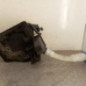 Vase de lave glace SKODA FABIA 2