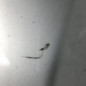 Pare choc avant TOYOTA COROLLA VERSO 2