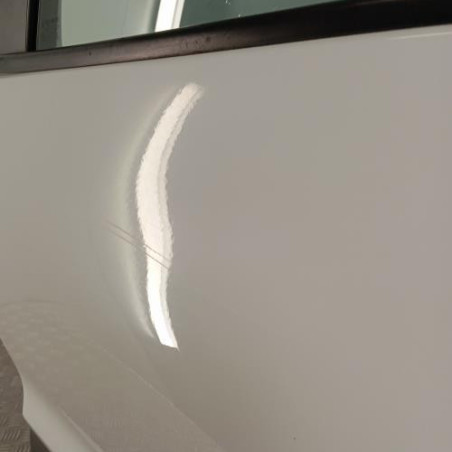 Porte arriere gauche RENAULT CLIO 4