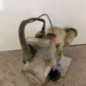 Pompe de direction DACIA DUSTER 1