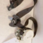 Ceinture avant gauche CITROEN C3 2