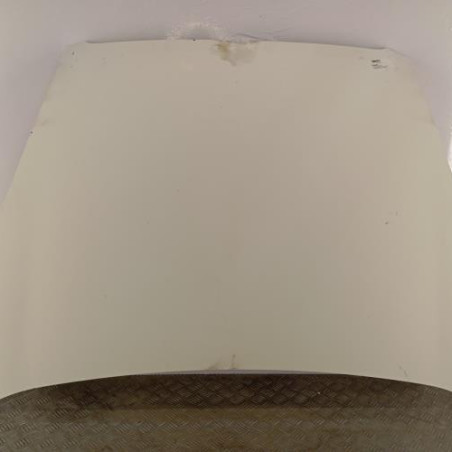 Capot FIAT DOBLO 2 Photo n°1