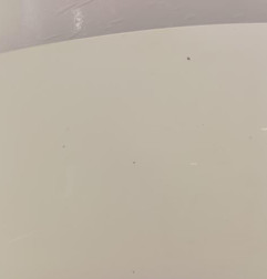 Capot CITROEN C4 CACTUS