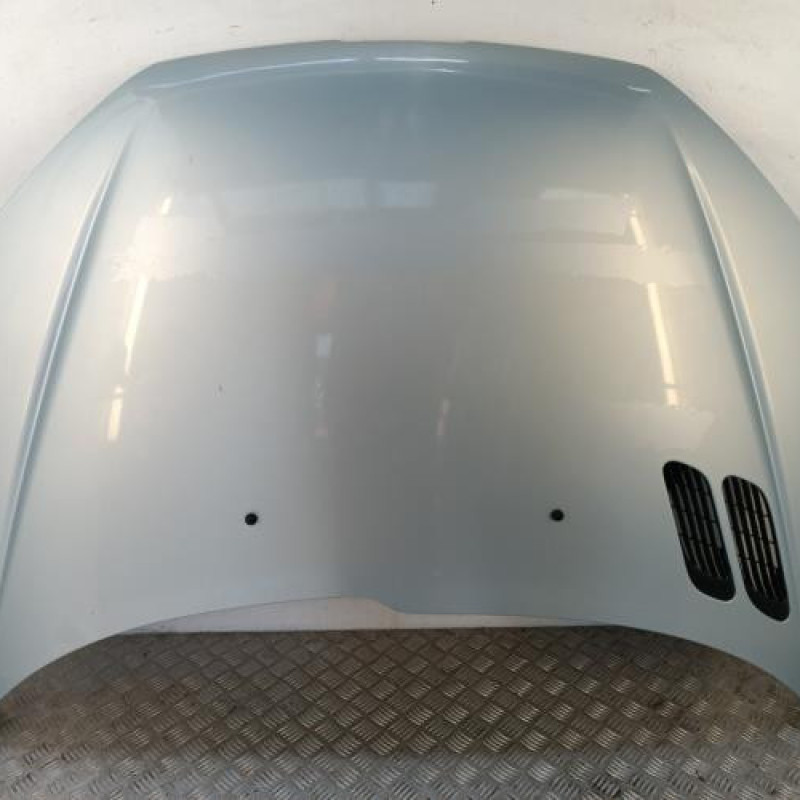Capot PEUGEOT 206 Capot PEUGEOT 206