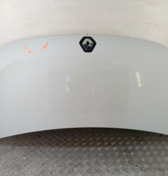 Capot RENAULT MASTER 3 Photo n°1