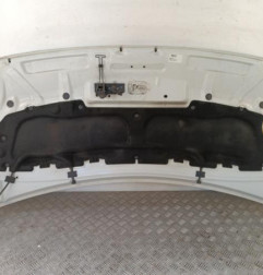 Capot RENAULT MASTER 3 Photo n°3