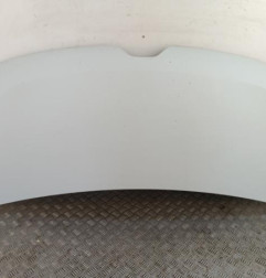 Capot RENAULT MASTER 3 Photo n°1