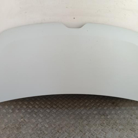 Capot RENAULT MASTER 3 Photo n°1