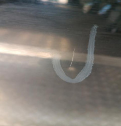 Porte avant gauche RENAULT MEGANE 4 Photo n°3