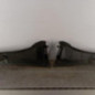 Baie de pare brise CITROEN C4 CACTUS