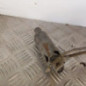 Treuil de roue de secours PEUGEOT 307