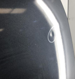 Porte arriere droit RENAULT SCENIC 3 Photo n°4