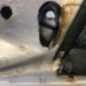 Porte avant gauche PEUGEOT 206