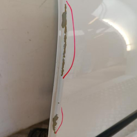 Porte arriere gauche PEUGEOT 207