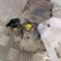 Compresseur clim CITROEN C3 1