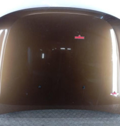 Capot DACIA DUSTER 1 Photo n°1
