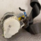 Ceinture avant gauche CITROEN C3 2