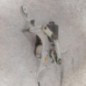 Moteur essuie glace avant gauche OPEL ZAFIRA TOURER C