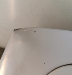 Capot CITROEN XSARA PICASSO Photo n°4