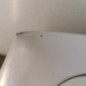 Capot CITROEN XSARA PICASSO