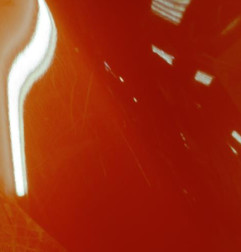 Porte arriere gauche PEUGEOT 208 1 Photo n°5