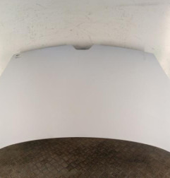 Capot RENAULT KANGOO 2 Photo n°1