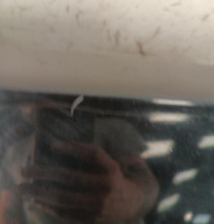 Pare choc arriere CITROEN C2 Photo n°3