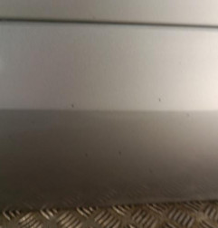 Porte avant droit RENAULT KOLEOS 1 Photo n°4