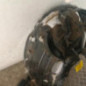 Pare boue avant droit RENAULT KOLEOS 1