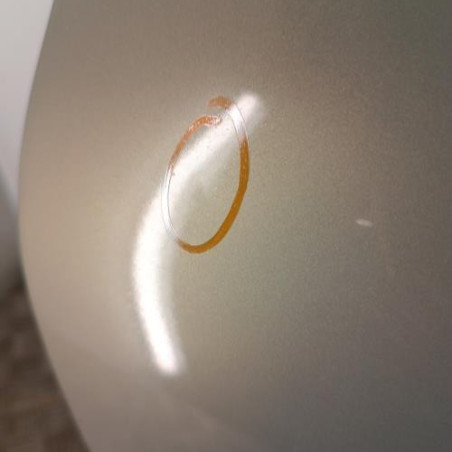 Porte avant gauche RENAULT CLIO 2