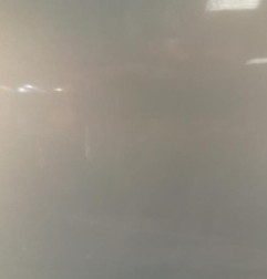 Porte avant gauche RENAULT CLIO 2 Photo n°4
